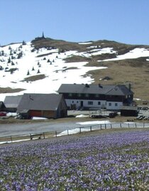 Altes Almhaus Außenansicht | © Keine Kenntnis | © Keine Kenntnis