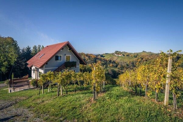 Ferienhaus Weingut Perner | © Ferienhaus Weingut Perner