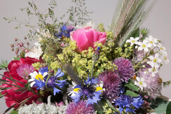 Wiesenblumen