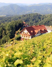 Weingut Reiterer | © Weingut Reiterer | Fam. Reiterer | © Weingut Reiterer | Fam. Reiterer