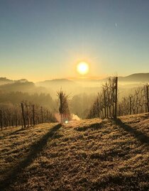 Weingut Gamser Sonnenaufgang | © Weingut  Gamser | Fam. Gamser | © Weingut  Gamser | Fam. Gamser