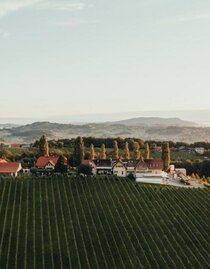 Ansicht Weingut Pichler-Schober | © CMvisuals | © CMvisuals