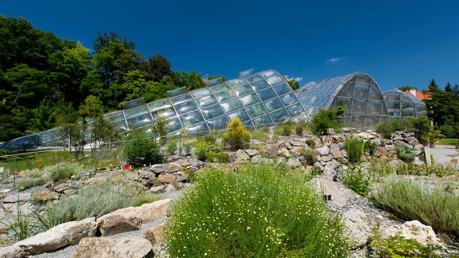 Botanischer Garten