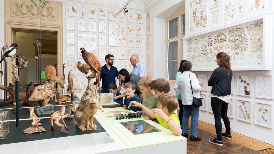 Naturkundemusem im Grazer Joanneumsviertel | © Harry Schiffer