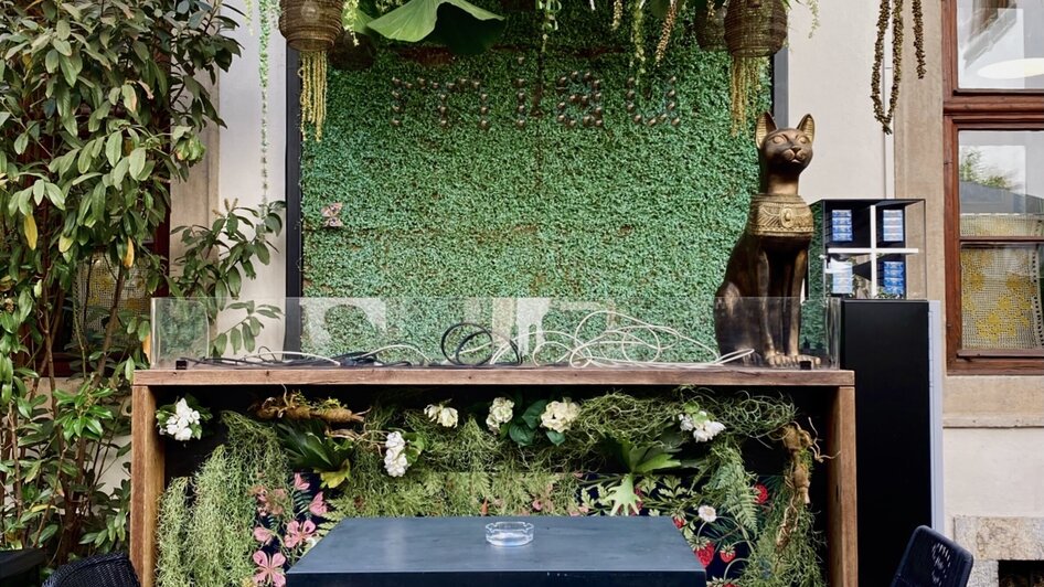 Gemütliche Bar mit Pflanzen und Tisch im Freien.
