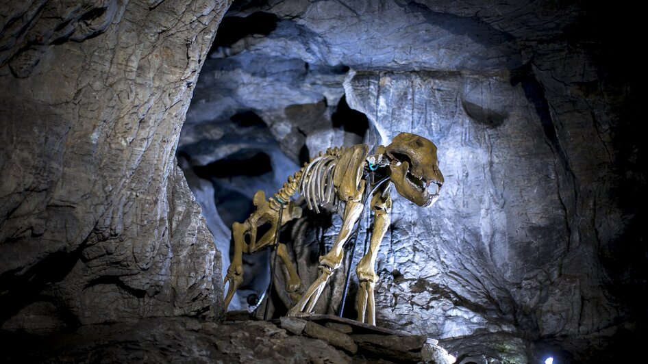 Lurgrotte Peggau | © Region Graz - Tom Lamm