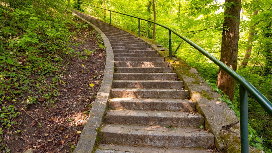 Steinerne Treppe, die sich durch einen grünen Wald schlängelt.