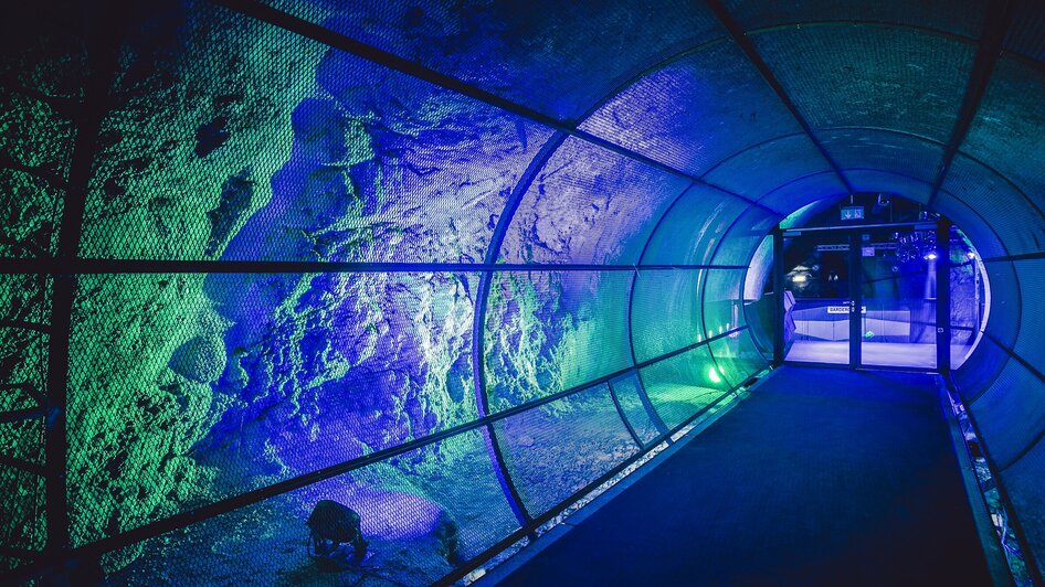 Ein moderner Tunnel mit bunten Lichtern im Dom im Berg in Graz.