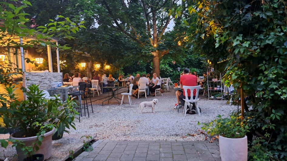 Gemütliches Abendessen im Freien mit Gästen und einem Hund.