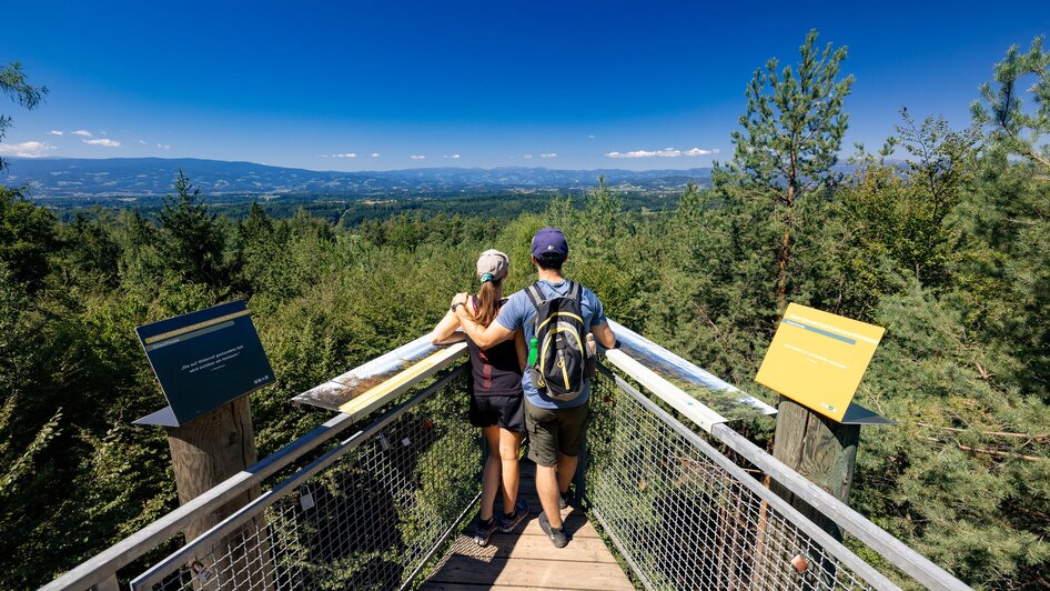 Der Weg ist das Ziel -  Den Buchkogel erwandern | © Graz Tourismus - Harry Schiffer