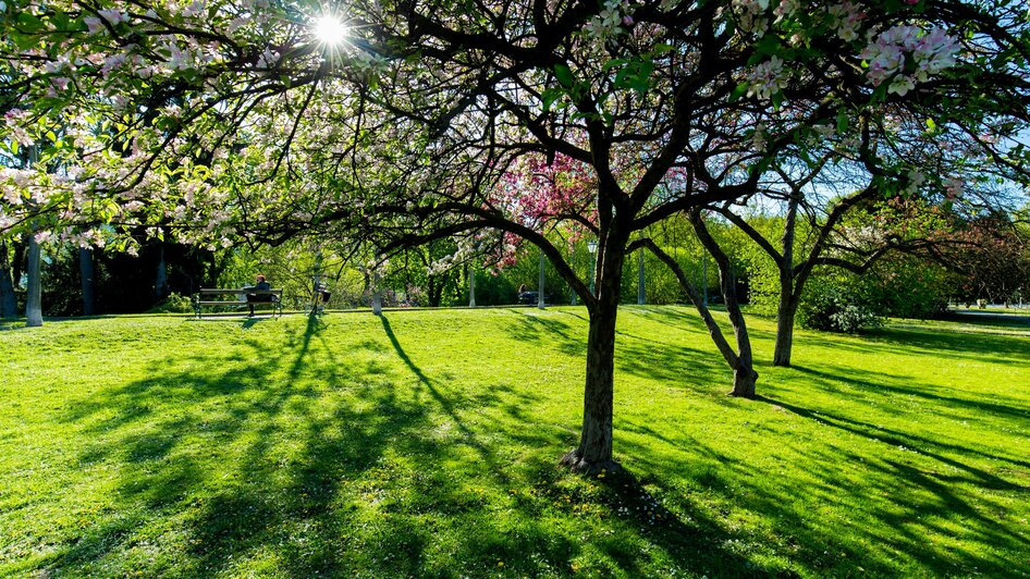 Stadtpark Graz | © Graz Tourismus - Harry Schiffer