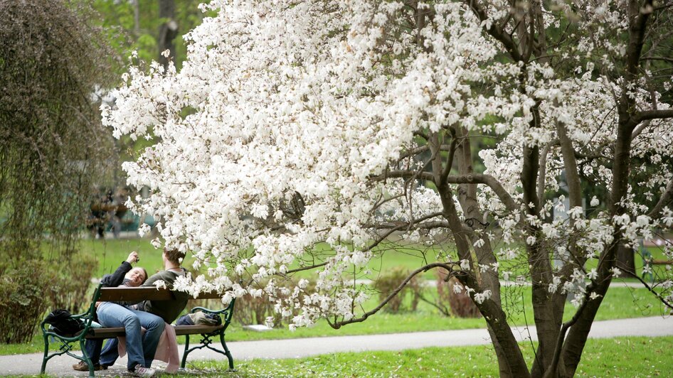 Stadtpark Graz | © Graz Tourismus - Harry Schiffer