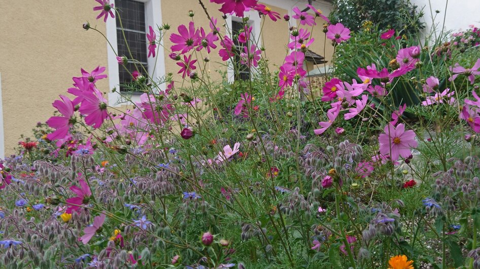 Sölker Jesuit Garden - Impressionen #2.1