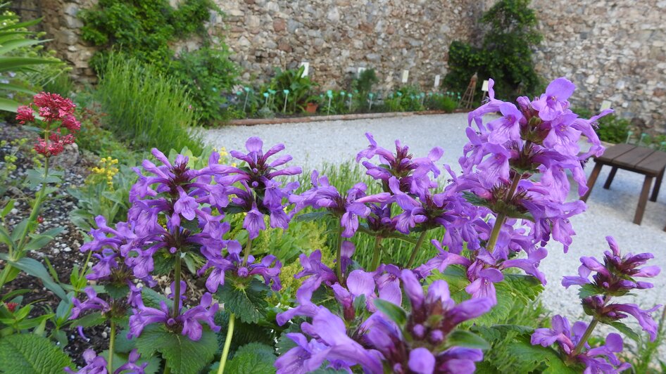 Sölker Jesuit Garden - Impressionen #2.7