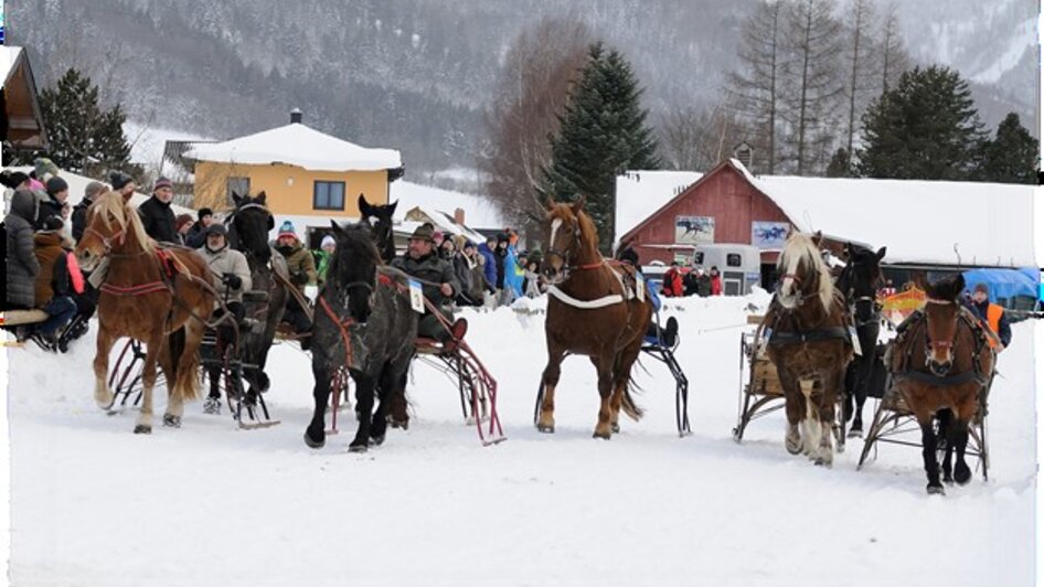 Traditional Horse Event  - Impressionen #2.1