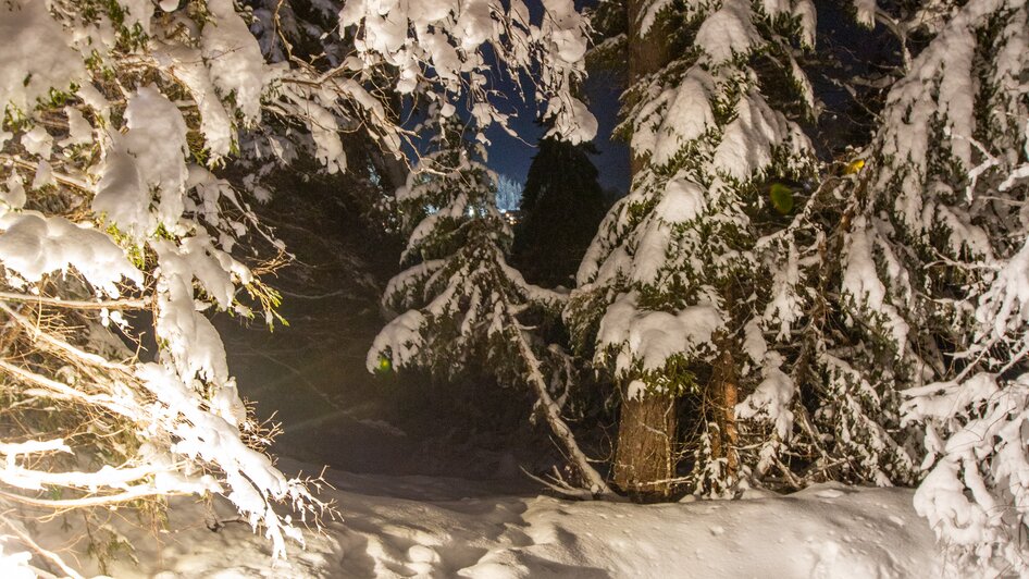 Mühlen Advent in Ramsau am Dachstein