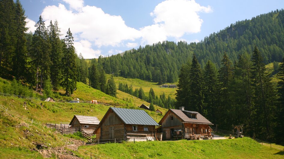 Die Adambauernalm ist in 1 Stunde zu Fuß erreichbar.