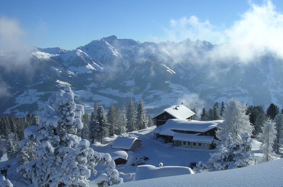 Berggasthof Steinerhaus - Impression #1