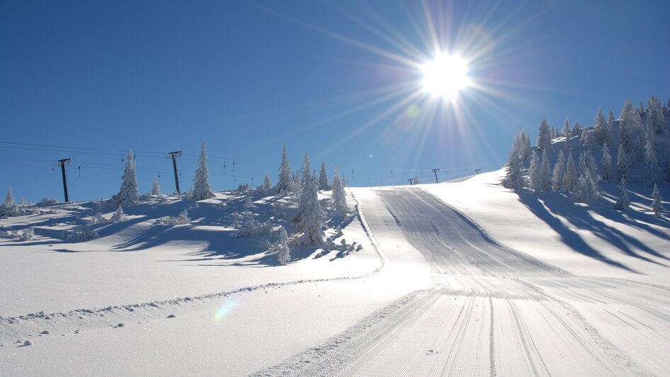 Fageralm - Impression #2.5 | © Reiteralm Bergbahnen