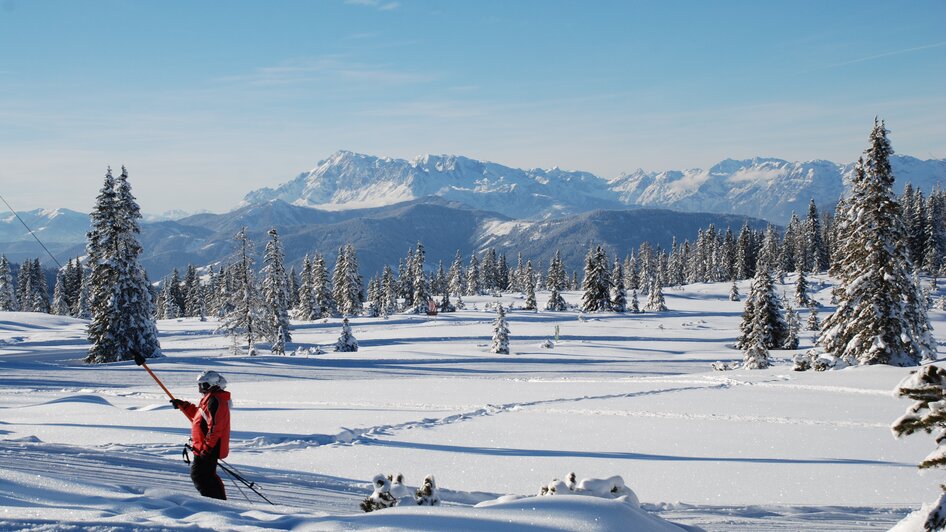 Fageralm - Impression #2.1 | © Reiteralm Bergbahnen