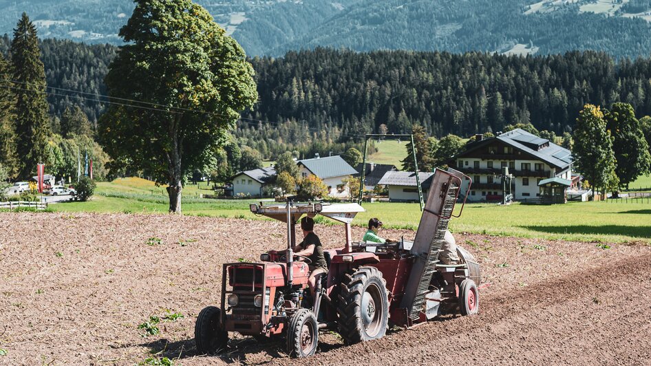 Feistererhof Wirtsstube - Impression #2.1 | © Anna Ullrich