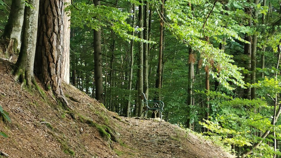 Felsen-Wasser-Platz am östlichen Fürstensteig - Impression #2.2