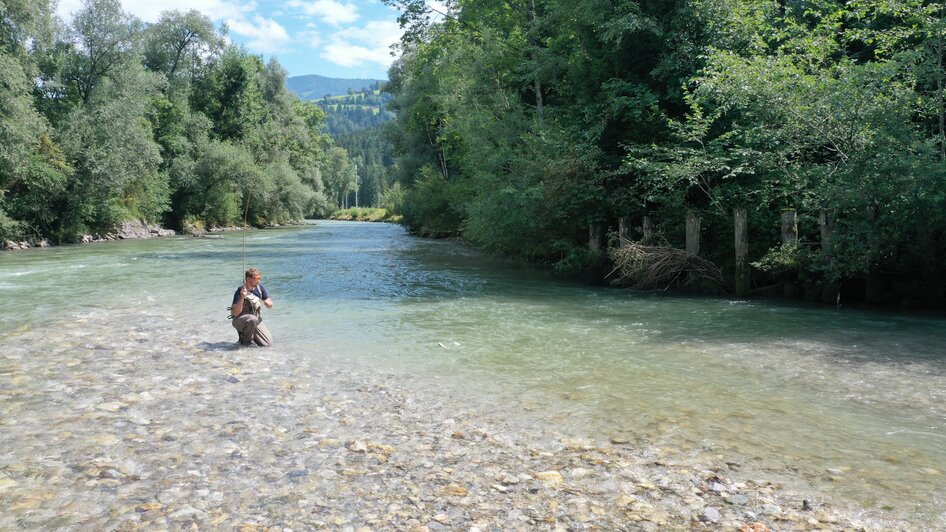 Fischen in der Enns