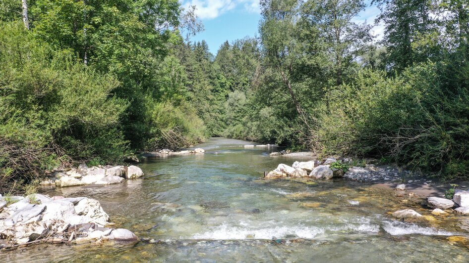 Fischen im Donnersbach