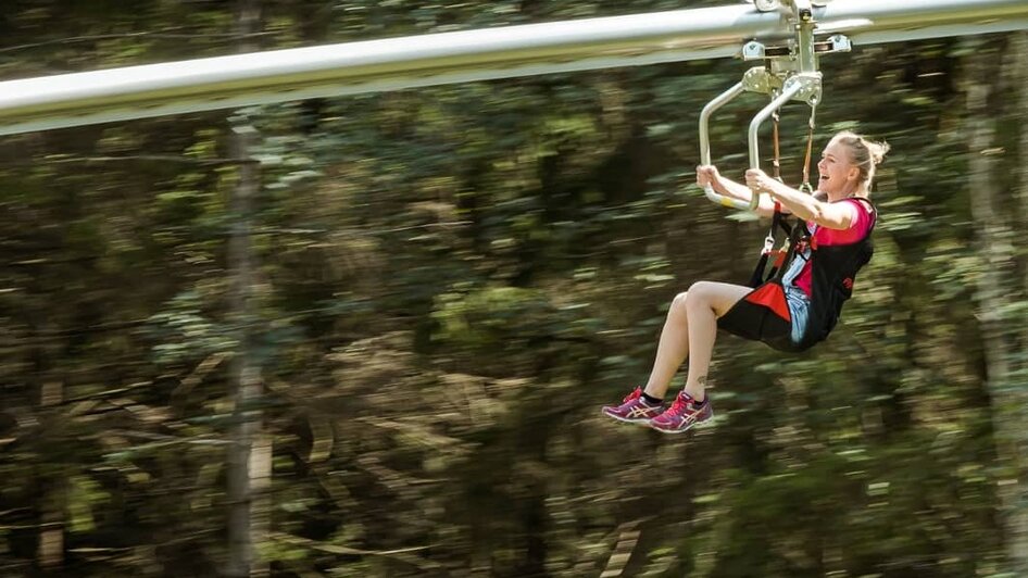 Flying Coaster - Impression #2.4