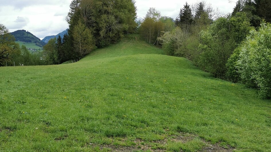 Der Heidenhügel
