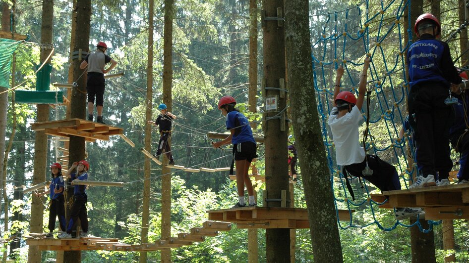 High Rope Course and Climbing Hall  - Impression #2.4