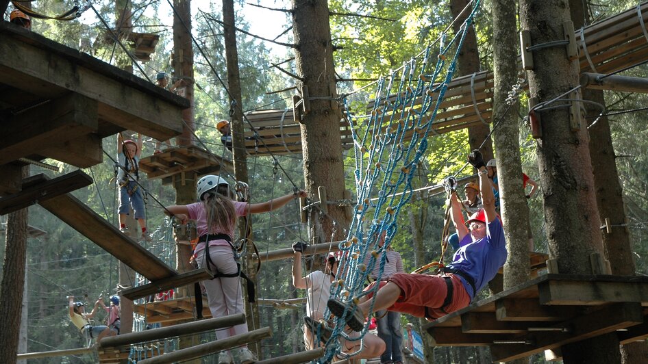 High Rope Course and Climbing Hall  - Impression #2.1