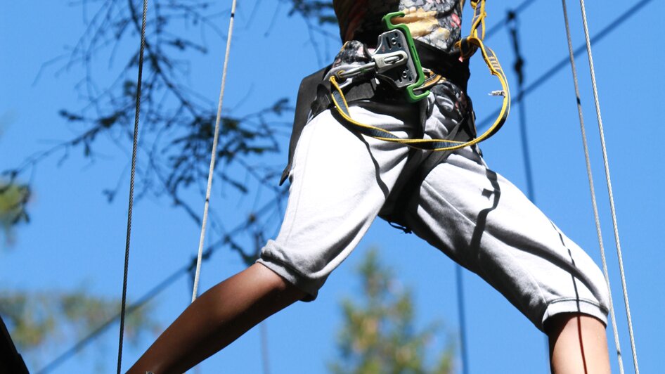 High Rope Course and Climbing Hall  - Impression #2.2