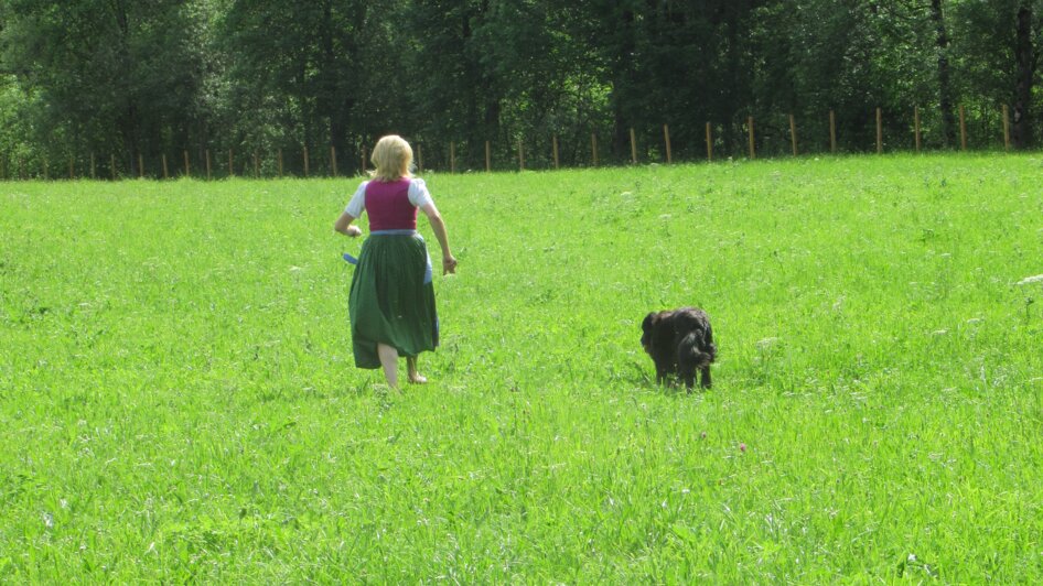 Hundewiese - Schladming - Impression #2.2 | © Stadtgemeinde Schladming
