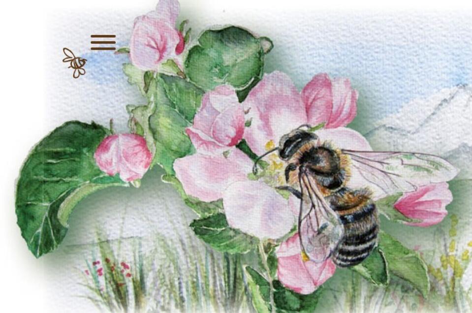 Beekeeping and queen breeding Stockreiter - Impression #1