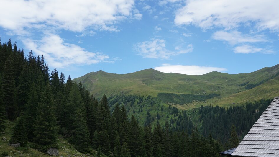 Kaltenbachalm - Sölkpass - Impression #2.7 | © Naturpark Sölktäler