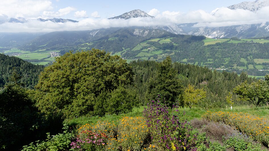 Ausblick vom Kräuterbauernhof Percht
