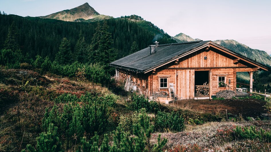 Mountain pine distillery Planneralm - Impression #2.6