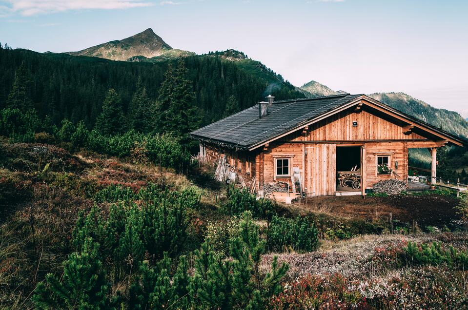 Mountain pine distillery Planneralm - Impression #1