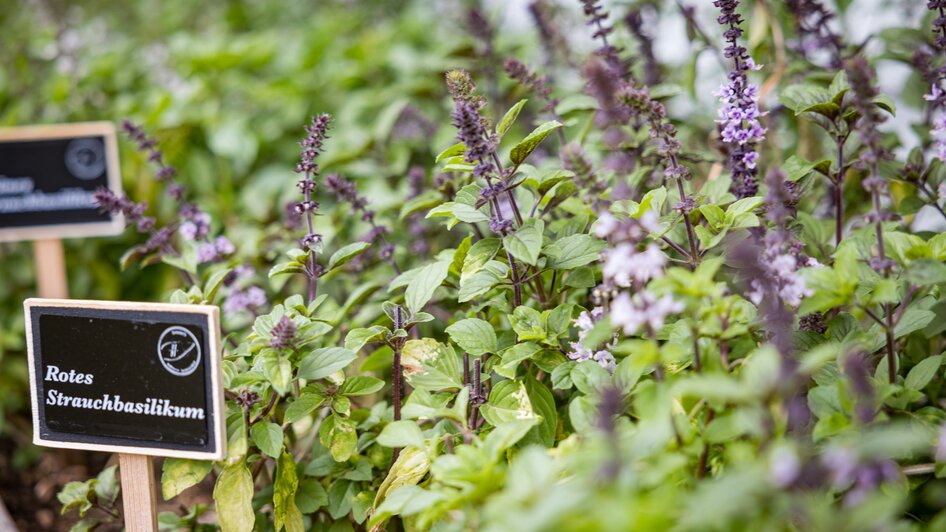 Natur- und Wellnesshotel Höflehner