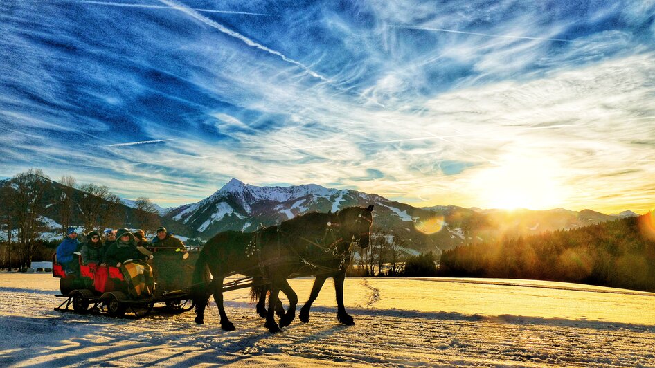 Pferdeschlittenfahrt Ramsau am Dachstein | © Minzlhof