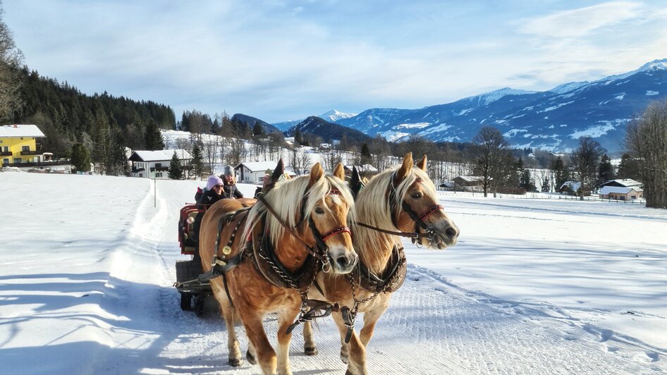 Pferdeschlittenfahrt Ramsau am Dachstein | © Minzlhof