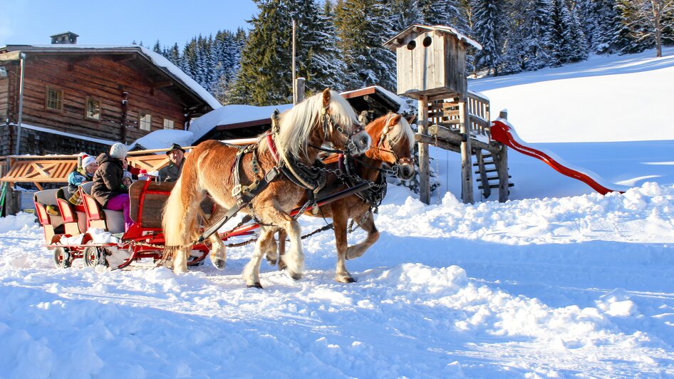 Rösteralm - Impression #2.18 | © Walcher, Stoanerhof