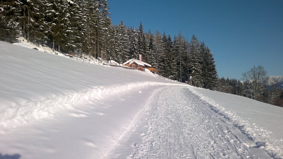 Sattelberghütte - Impression #2.16