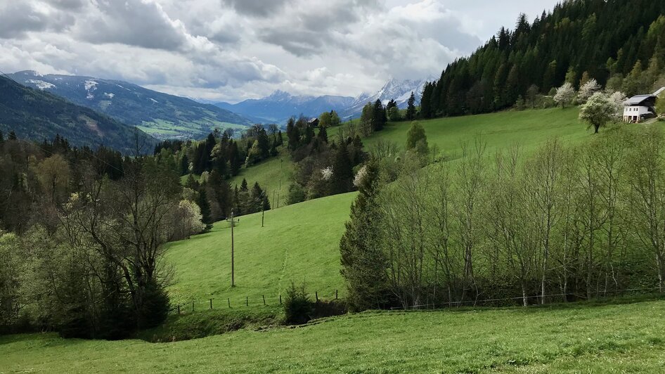 Auf dem Weg zur Stalingradkapelle