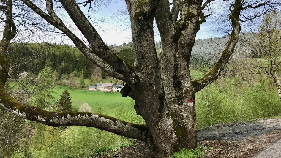 Am Ausgangspunkt der Wanderung